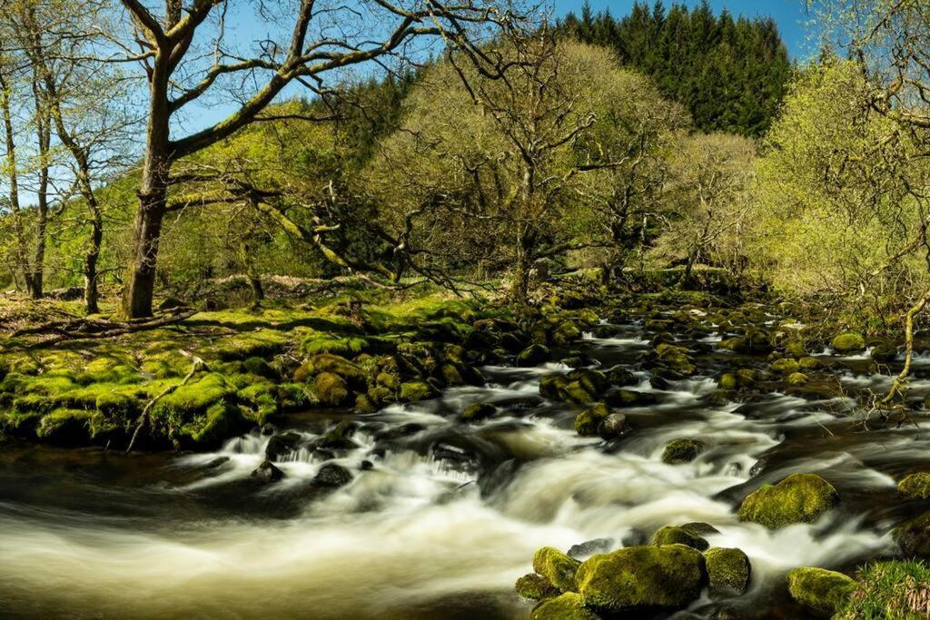 Charming Riverside Cottage In Snowdonia National Park Tanygrisiau Экстерьер фото