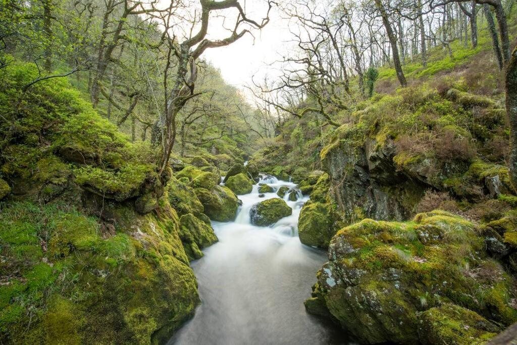 Charming Riverside Cottage In Snowdonia National Park Tanygrisiau Экстерьер фото